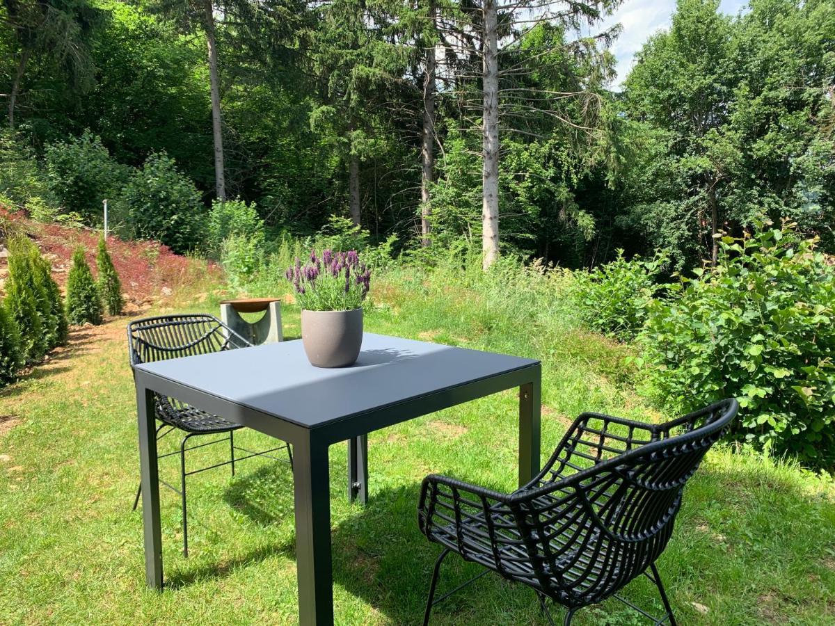 Moderne Wohnung Im Gruenen Mit Privatem Garten Donaueschingen Eksteriør billede